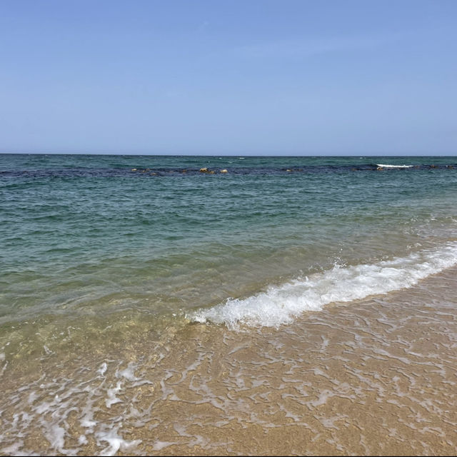 🌊 강릉 여행 추천 코스