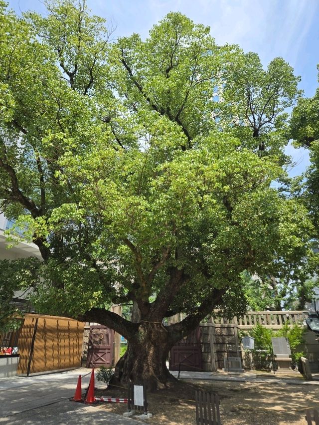 【大阪】難波神社