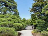 【京都】京都御所で味わう厳かな時間🌿