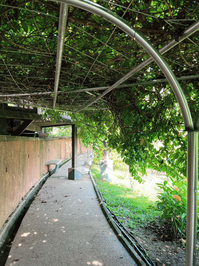 Laman Iskandar Puteri: A Floral Paradise in the Heart of Nature