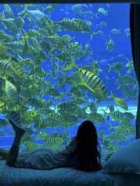 China 🇨🇳 🐠 Dali Ocean Hotel 