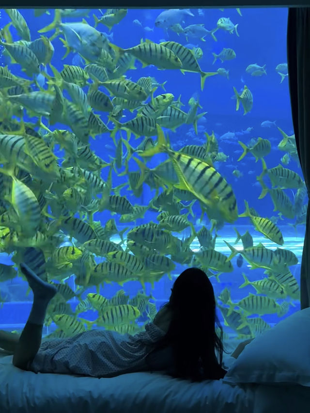 China 🇨🇳 🐠 Dali Ocean Hotel 