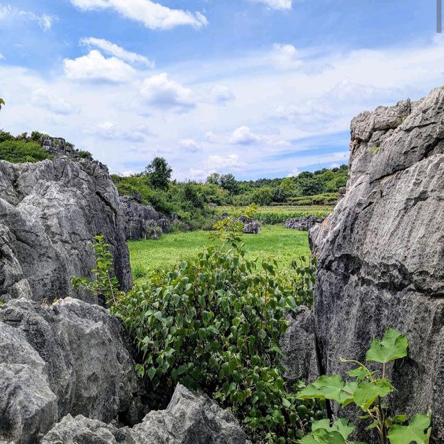 Shilin Stone Forest (Kunming, Yunnan) Shilin Stone Forest (Kunming, Yunnan)