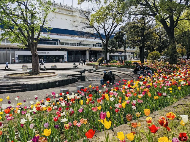 When in Yokohama Park🌷