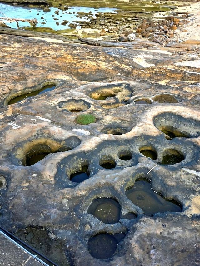 Sculpted by Sea and Sky on the north coast