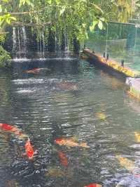เอสสเตชั่นคาเฟ่