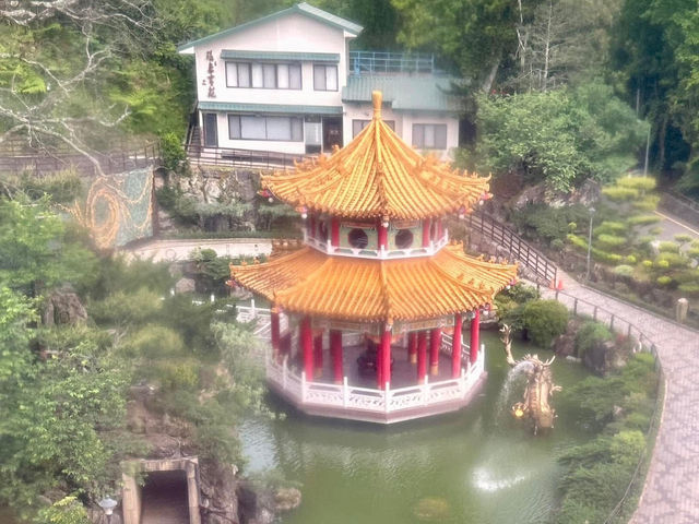 🐼 台北市立動物園 - 城市中的野生秘境