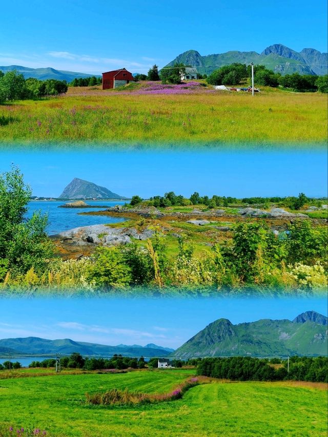 羅弗敦E10公路美景（五）