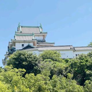 A Journey Through History and Garden Beauty: A Half-Day Trip in Wakayama