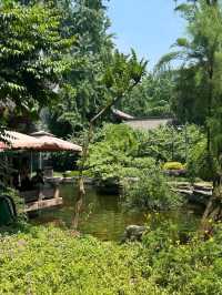 A Leisurely Day at Chengdu Renmin Park