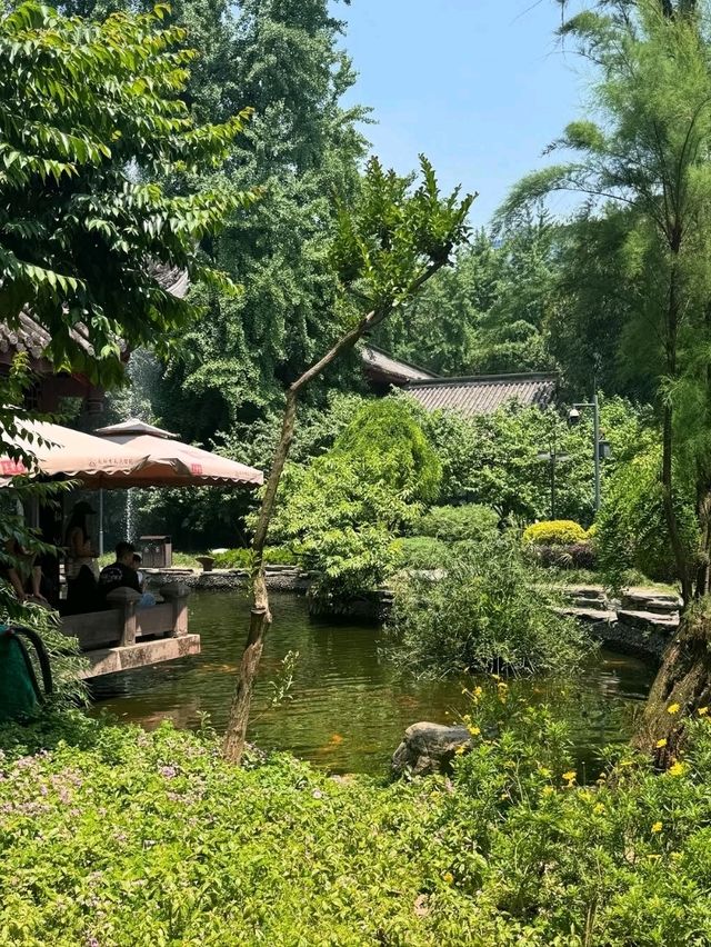 A Leisurely Day at Chengdu Renmin Park
