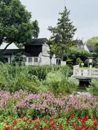 A Living Blend of Old and New Shanghai