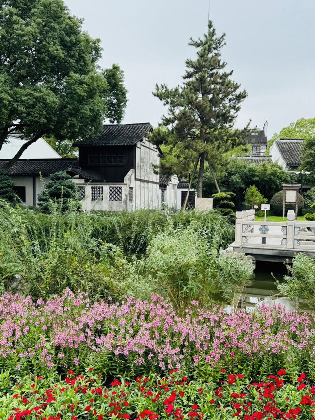 A Living Blend of Old and New Shanghai