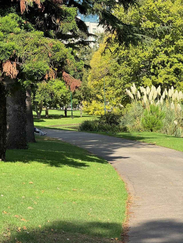 【Carlton Gardens｜墨爾本的歐式綠肺】