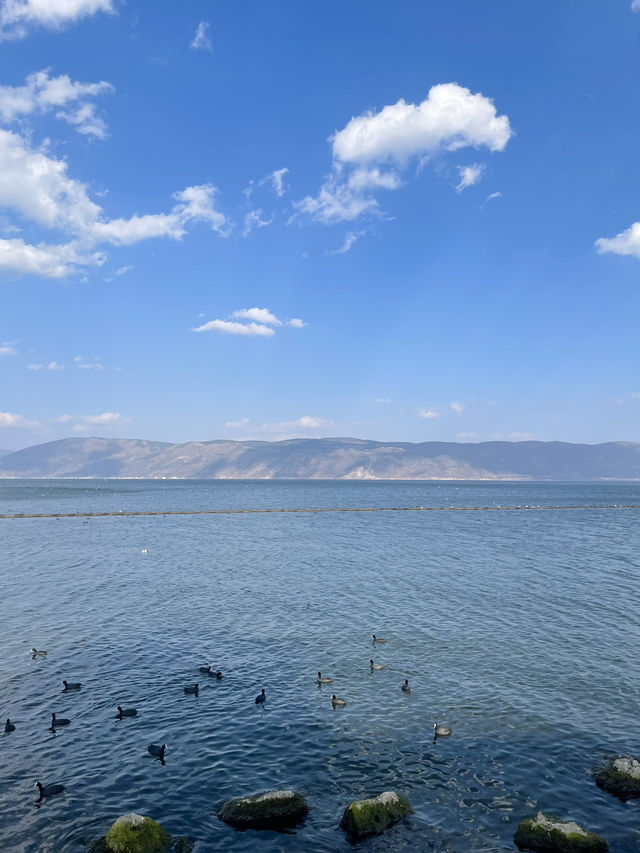 🇨🇳Dali ต้าหลี่ – เมืองโบราณริมทะเลสาบ Erhai Lake
