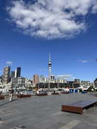 ニュージーランド最大の都市オークランド🇳🇿