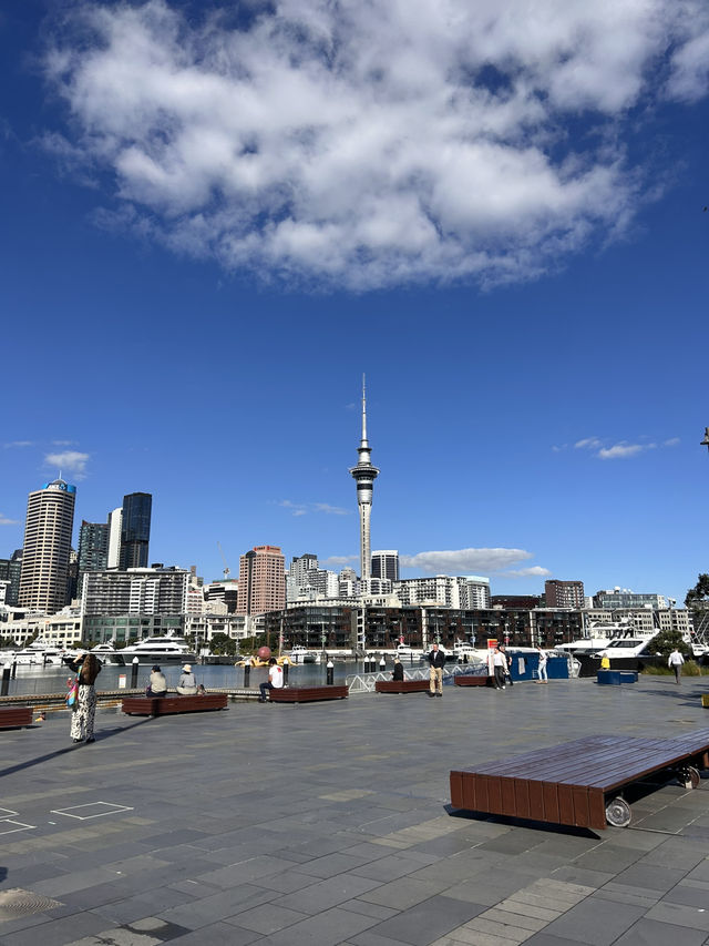 ニュージーランド最大の都市オークランド🇳🇿