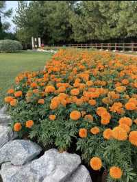 Taman Saujana Hijau Putrajaya: Touch of English Charm in Nature