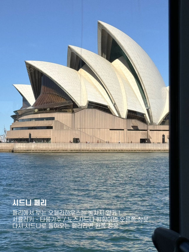 시드니에서 지겹도록 오페라하우스 구경하기
