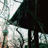 🌸 春の東京散歩 — 東京プリンス芝公園・増上寺・東京タワー