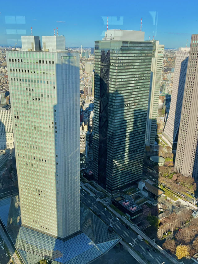🌃 도쿄의 낮과 밤, 어디가 더 좋을까? ✨