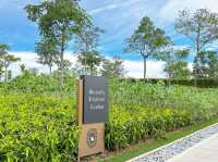 Butterfly Explorer Garden – A Dance of Wings
