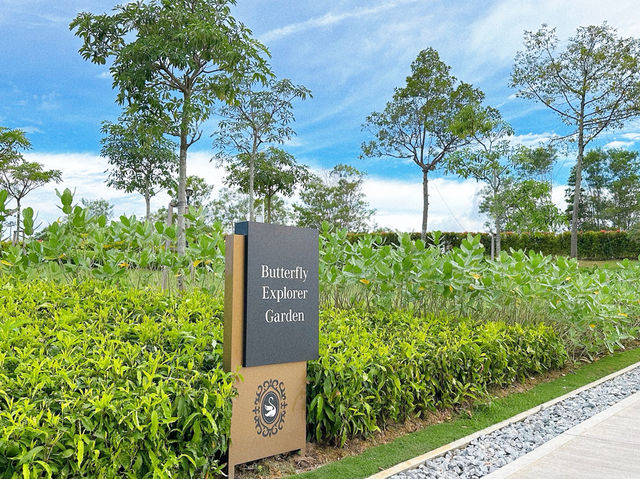 Butterfly Explorer Garden – A Dance of Wings