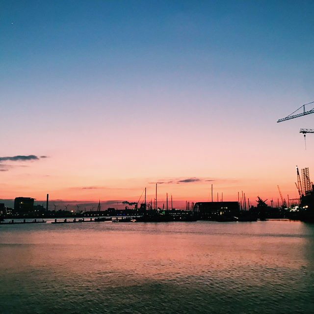 🇳🇱アムステルダム NDSMワーフで夕焼け散歩＆ディナー体験