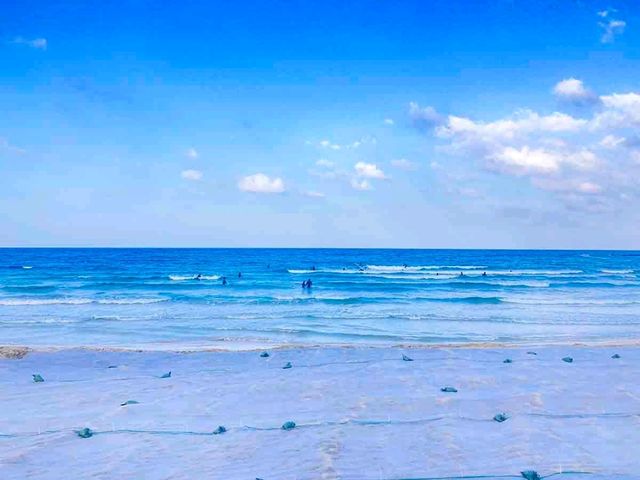 🏖️ 월정리해수욕장 – 감성 가득한 카페 거리와 바다