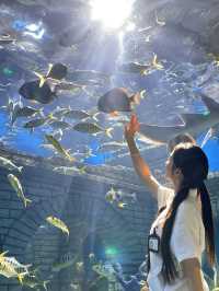 🐬 Tianjin Haichang Polar Ocean Park