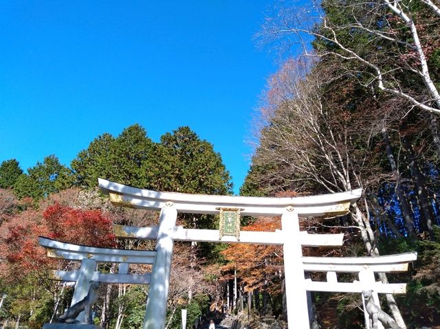 紅葉の秩父を満喫1泊2日