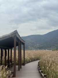 🍁 รีวิว Suncheonman Wetland