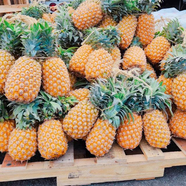 パペーテ🏝️