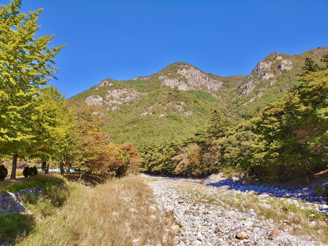 고즈넉한 산사 여행, 청도 운문사🌿✨