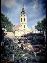 Zemun Solo: A Village Soul in a City's Heart