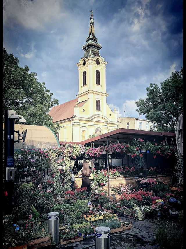 Zemun Solo: A Village Soul in a City's Heart