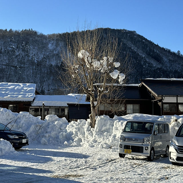 ❄️ ชิราคาวาโกะ หมู่บ้านในฝันกลางหิมะ