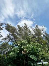 香港|濕地公園|香港紅葉名所|濕地秋色的生態天堂