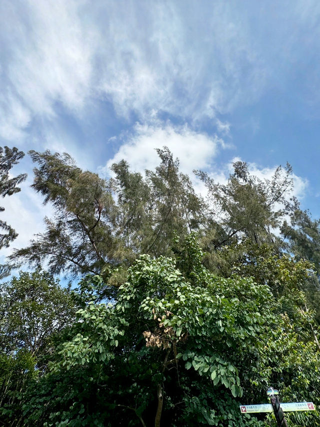 香港|濕地公園|香港紅葉名所|濕地秋色的生態天堂  香港|濕地公園|香港紅葉名所|濕地秋色的生態天堂