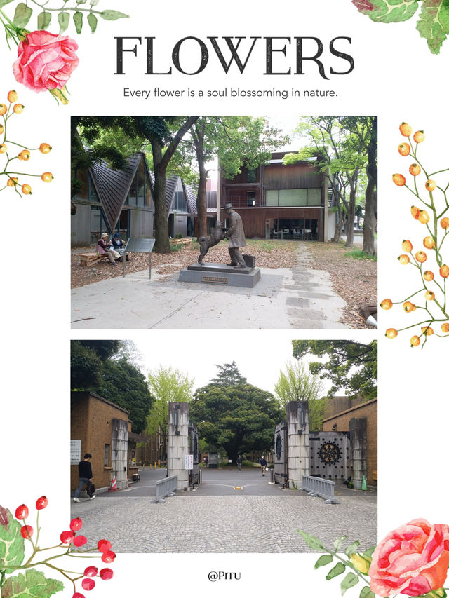 西洋風建築打卡熱點  