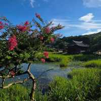 경주 서출지(Seochulji Pond, 西出池)