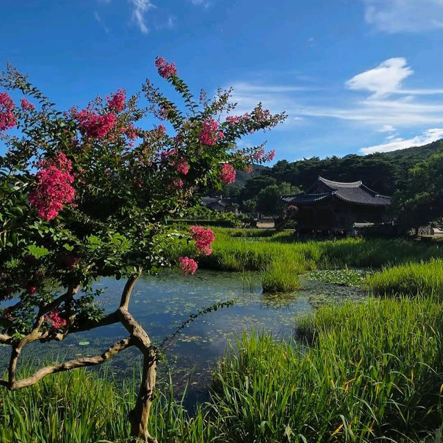 경주 서출지(Seochulji Pond, 西出池) 경주 서출지(Seochulji Pond, 西出池)