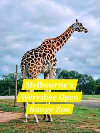 Werribee Open Range Zoo: Melbourne’s Mind-Blowing Safari Adventure 🦒🚍