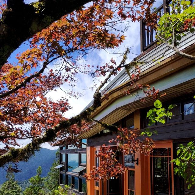 可以看到雲海的咖啡廳_太平山雲海咖啡廳 可以看到雲海的咖啡廳_太平山雲海咖啡廳