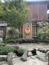 Green Escape🌳- Doi Chang Café