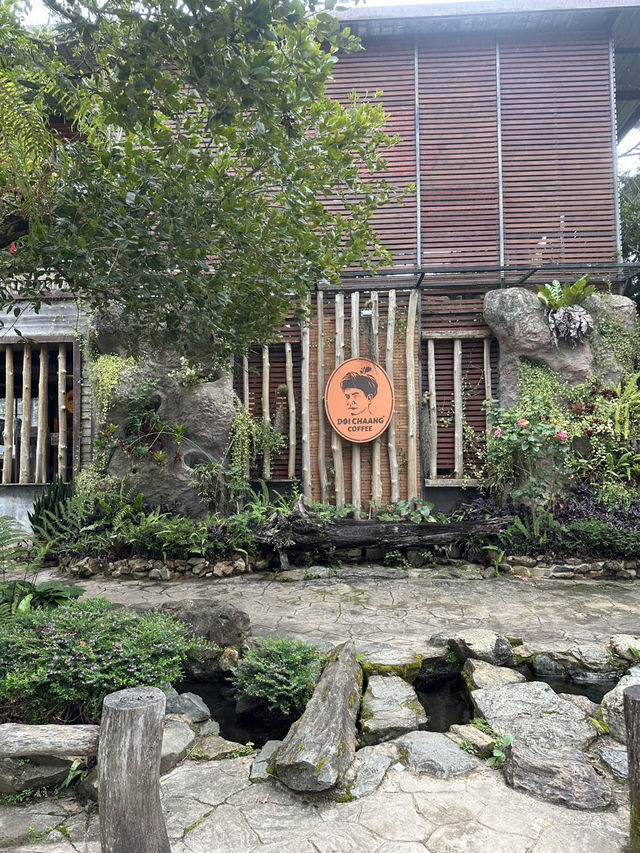 Green Escape🌳- Doi Chang Café