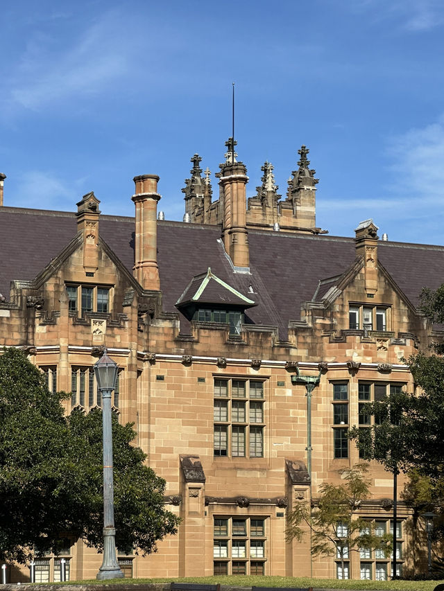 The University of Sydney: Where Historic Castles Meet Modern Creativity