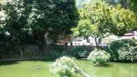 Kowloon Park -HK