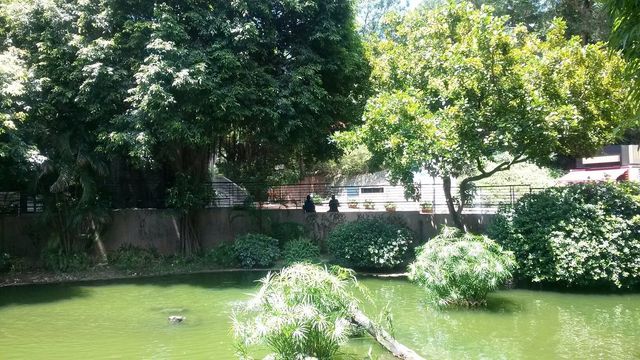 Kowloon Park -HK