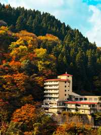 🍁단풍 구경하기 좋은 ‘쿠로베협곡 토롯코열차’